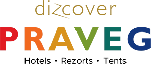 PRAVEG Logo